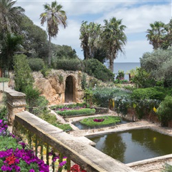 De Beste Tuinen van Malta: Een Oase van Rust en Natuurlijke Schoonheid